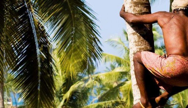 Bali Private Tour Village