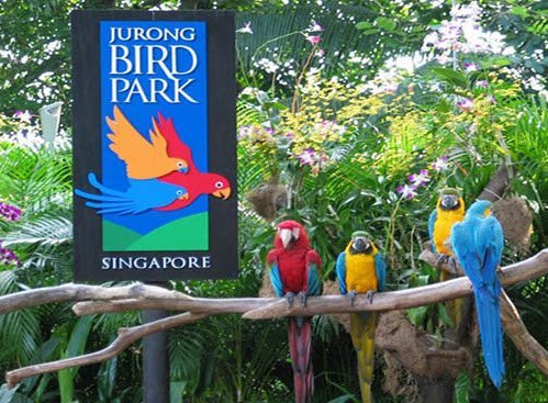 Jurong Bird Park Singapore